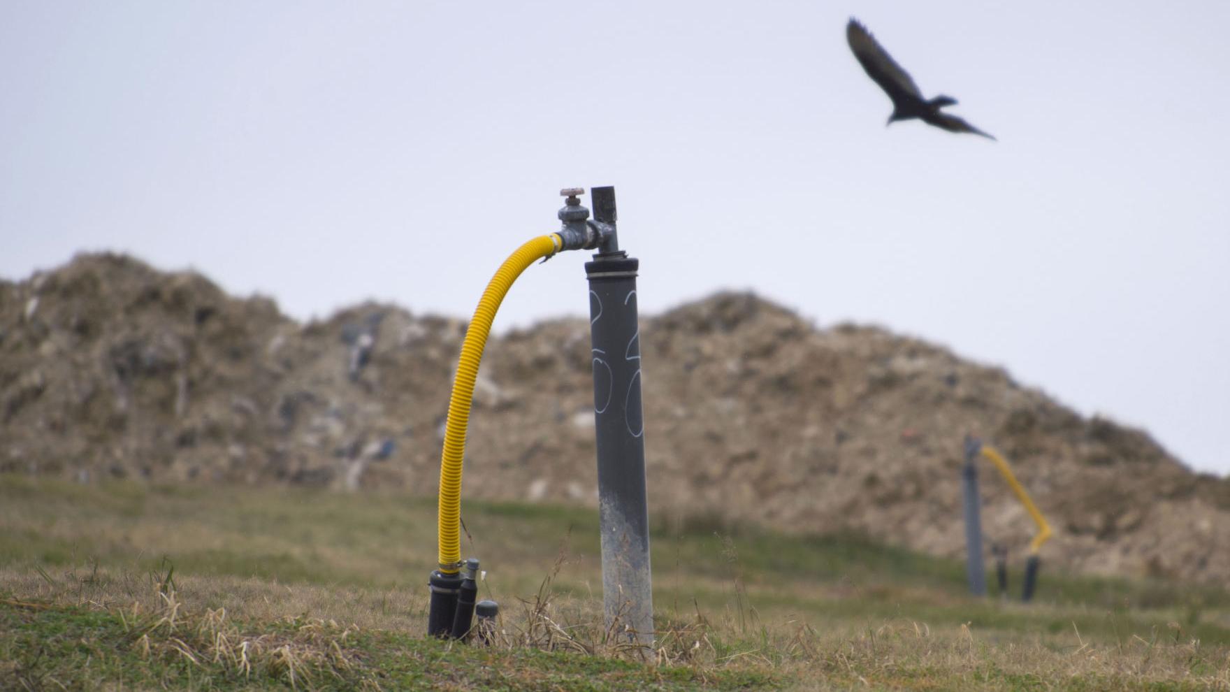 Ed Pratt: Finding new hope after old hopes were dashed